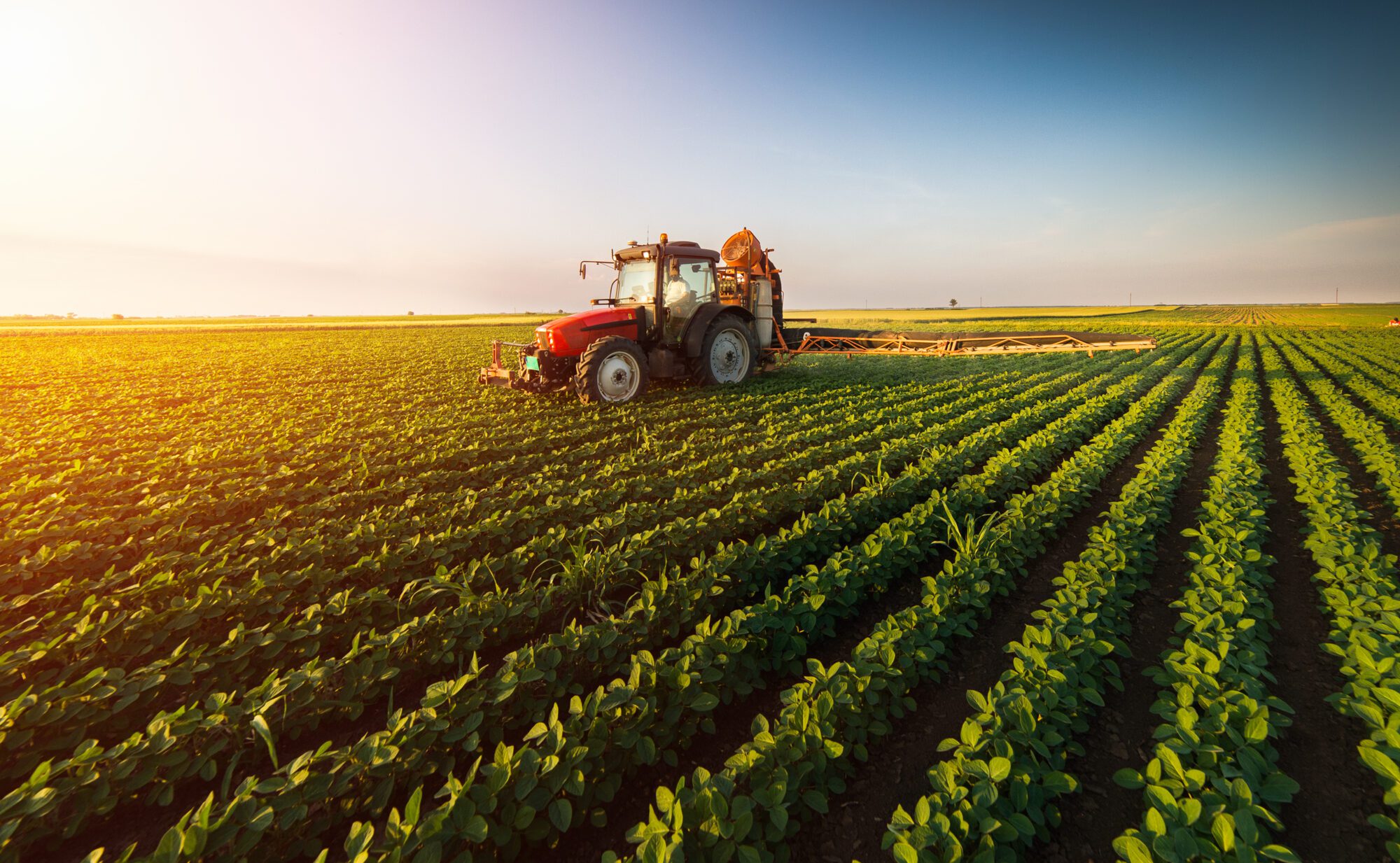 Agribusiness Insurance: Covering Farming’s Unique Insurance Needs