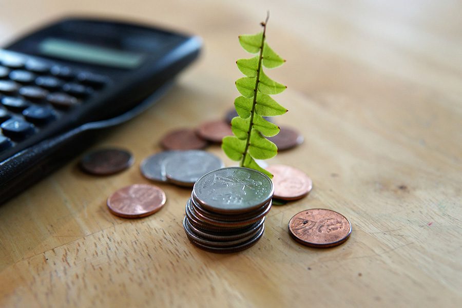 Individual Life Insurance - Close Up of a Stack of Quarters Sitting on a Wooden Table with a few other Coins Scattered Around it and a Tiny Branch with Leaves Next to Coin Pile and a Calculator